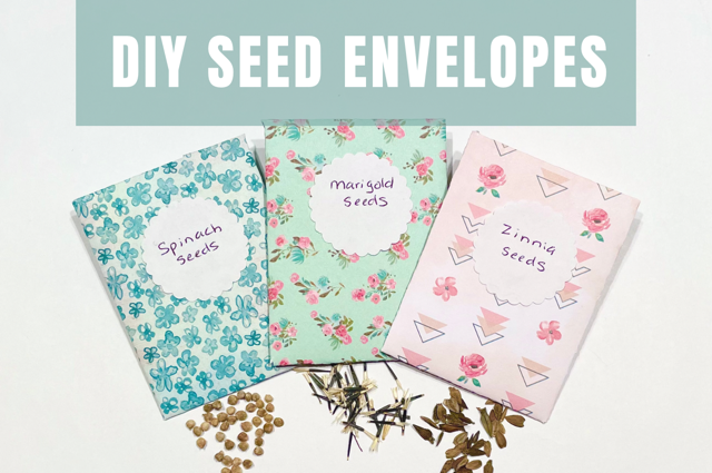 Seed Packets Printable [2025] with regard to Seed Packet Organization