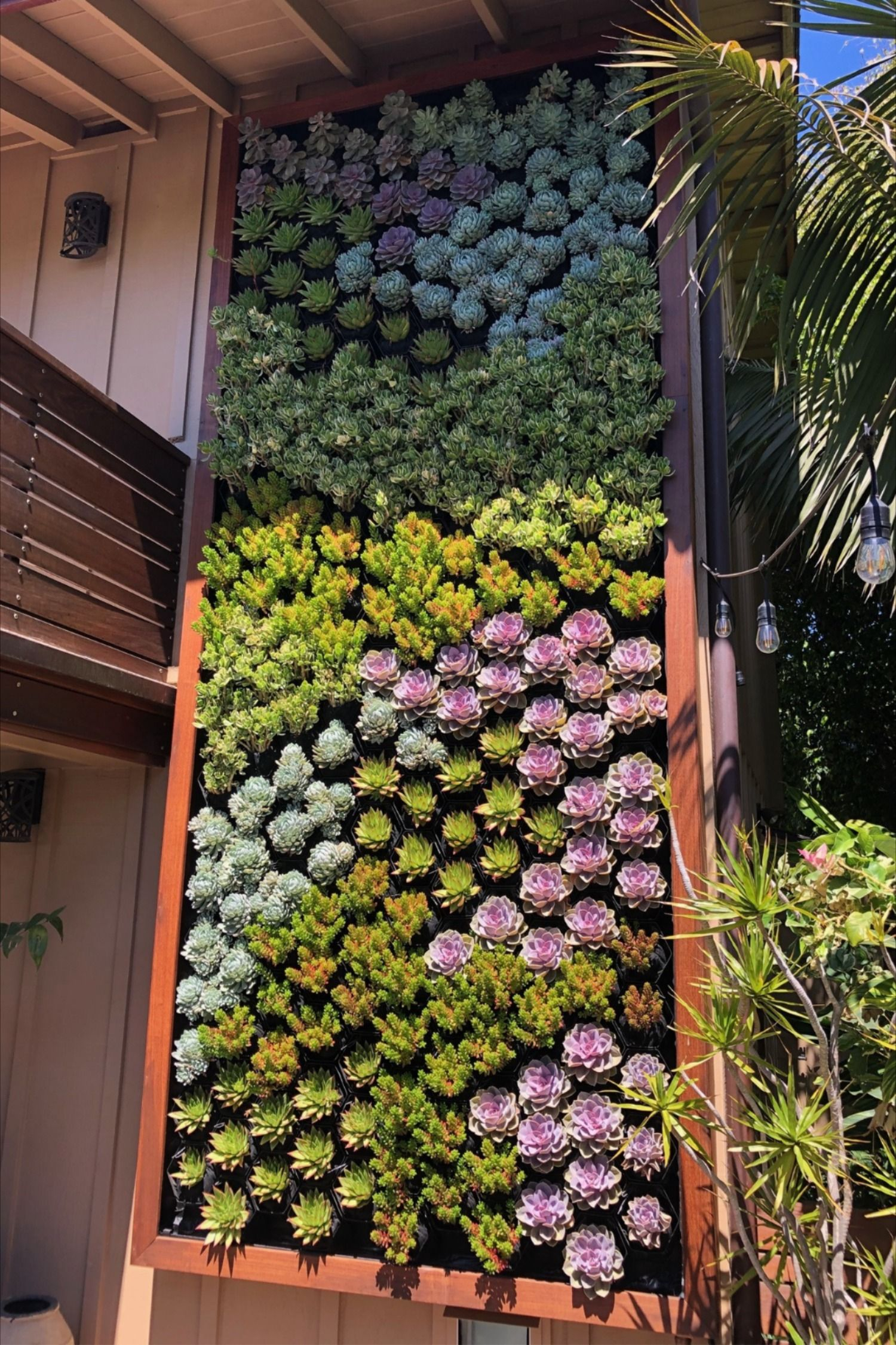 Shelved And Vertical Gardens Cool Ideas And Tips Gardening Channel ... throughout Succulent Garden Design Outdoor
