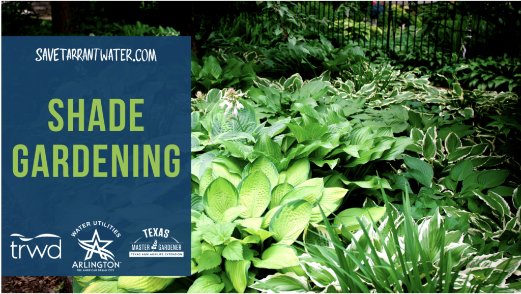 Stop Fighting Your Shady Yard: Arlington's Free Class Turns Problem ... regarding Stop Fighting Your Yard and Start Designing With It in 2026