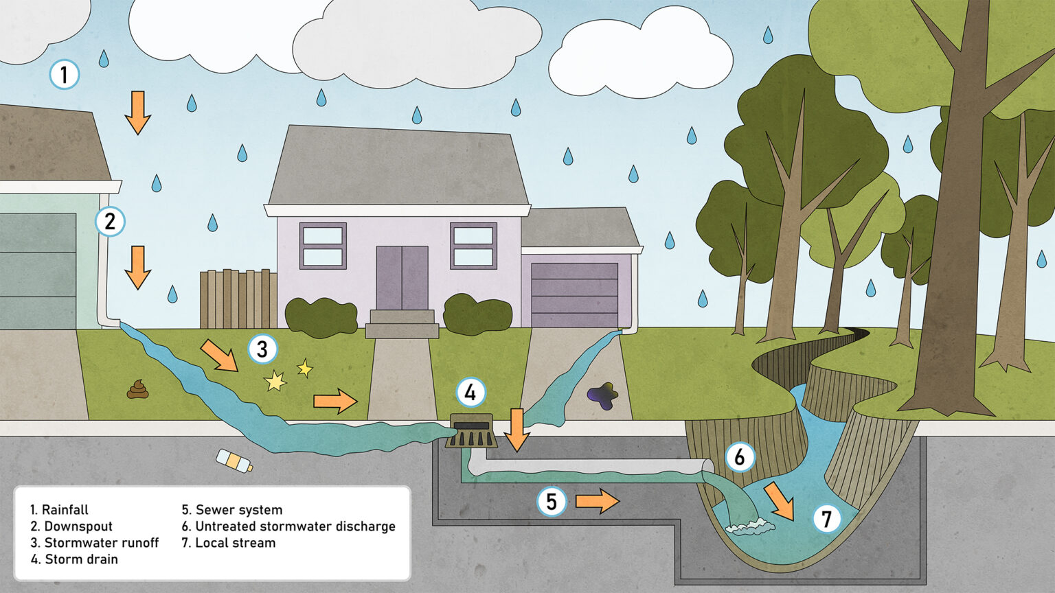 Stormwater - The Conservation Foundation with How to Stop Stormwater Runoff by Greening Your Garden Shed