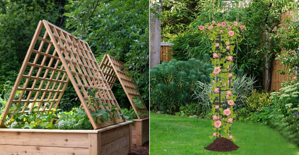 The 12 Best Diy Trellis Ideas For Climbing Plants - Complete Gardening intended for Trellis For Climbing Plants
