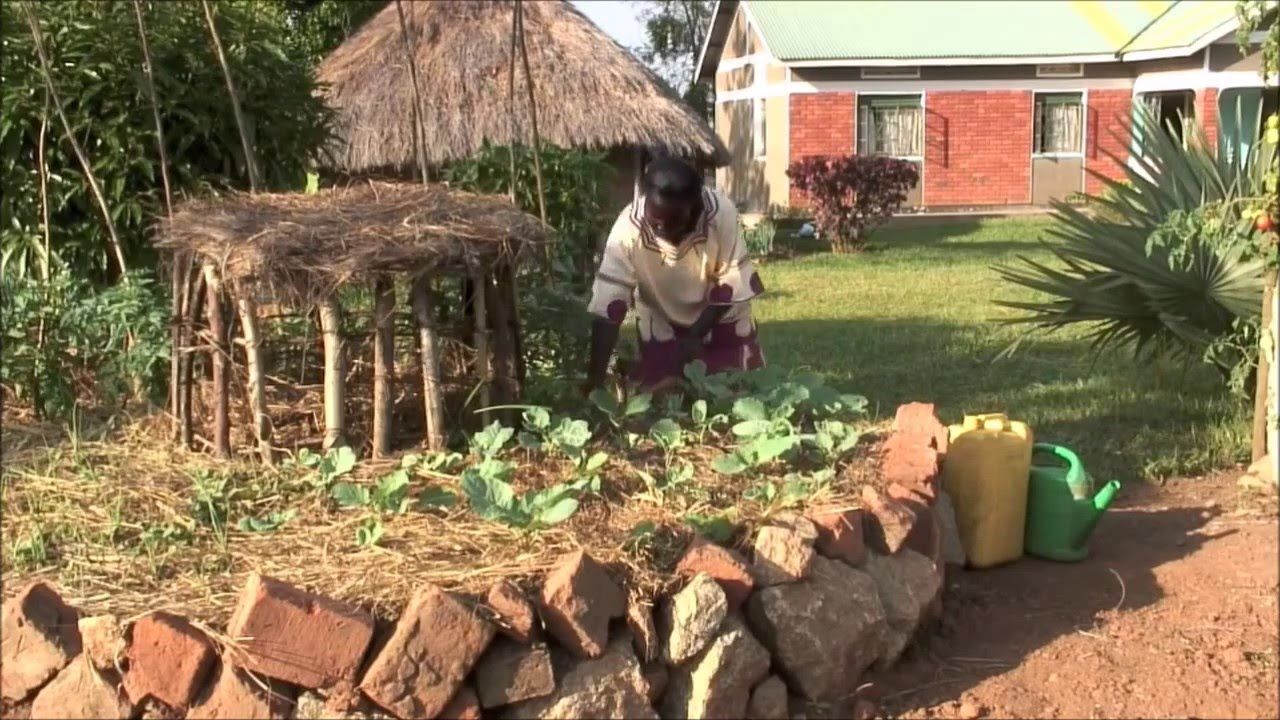 The Inventive African Keyhole Garden - Youtube with Keyhole Garden Design African