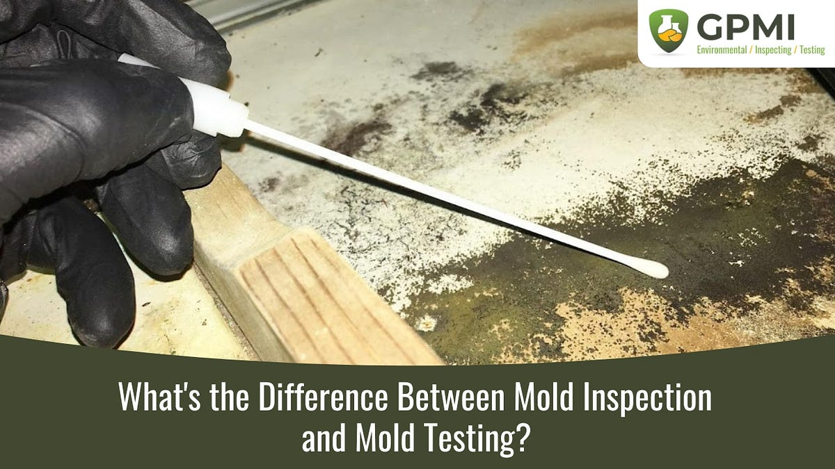 What’s The Difference Between Mold Inspection And Mold Testing? | By ... with regard to Mold Inspection Home Buying