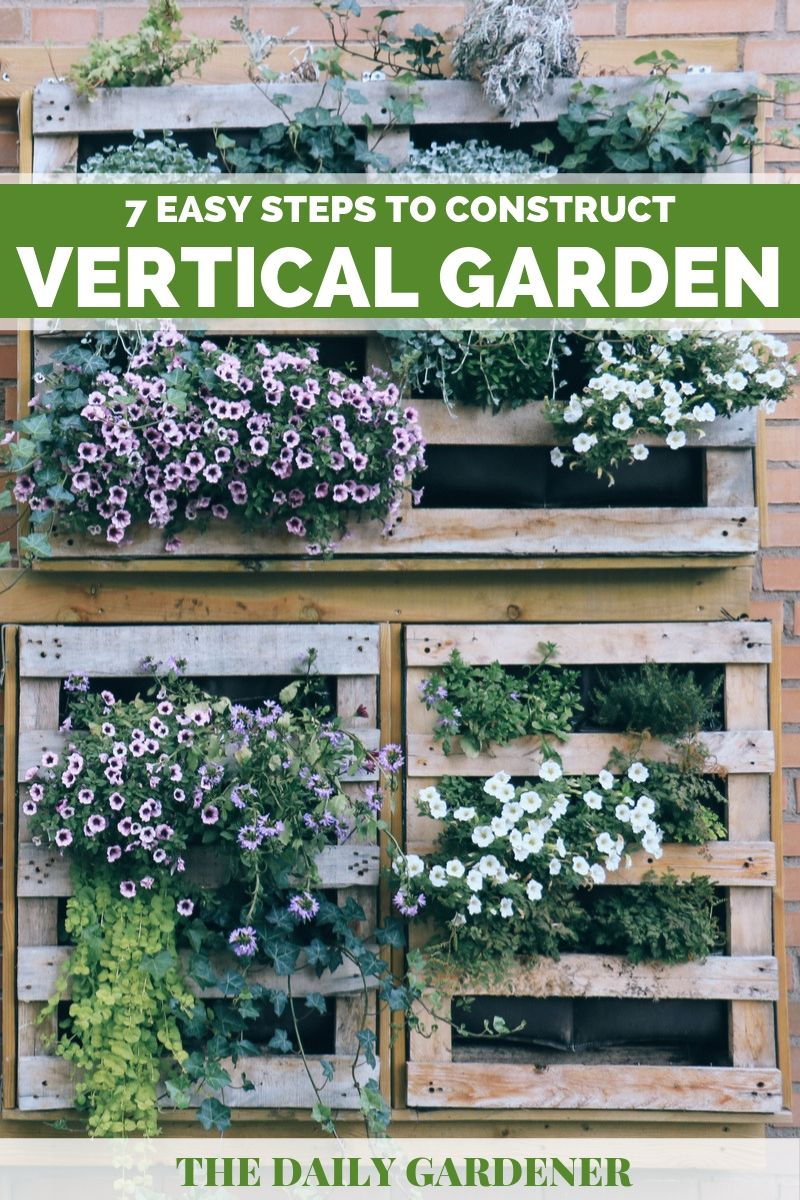 7 Easy Steps To Construct A Perfect Vertical Garden regarding How to Build a Thriving Outdoor Vertical Garden on a Tight Budget in 2026