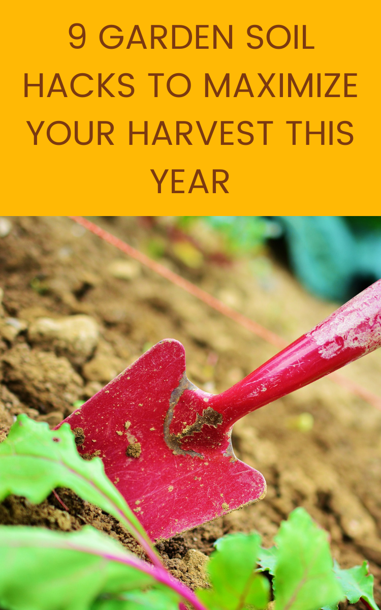 9 Garden Soil Hacks To Maximize Your Harvest This Year - Gardening Sun ... pertaining to Container Gardening Vegetables For Beginners