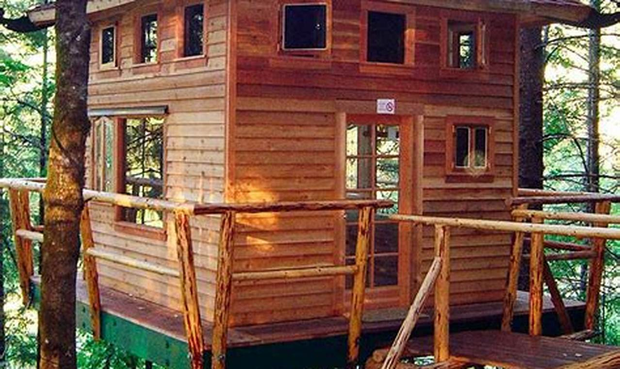 Practical Tips for Creating an Insulated Tree House Escape