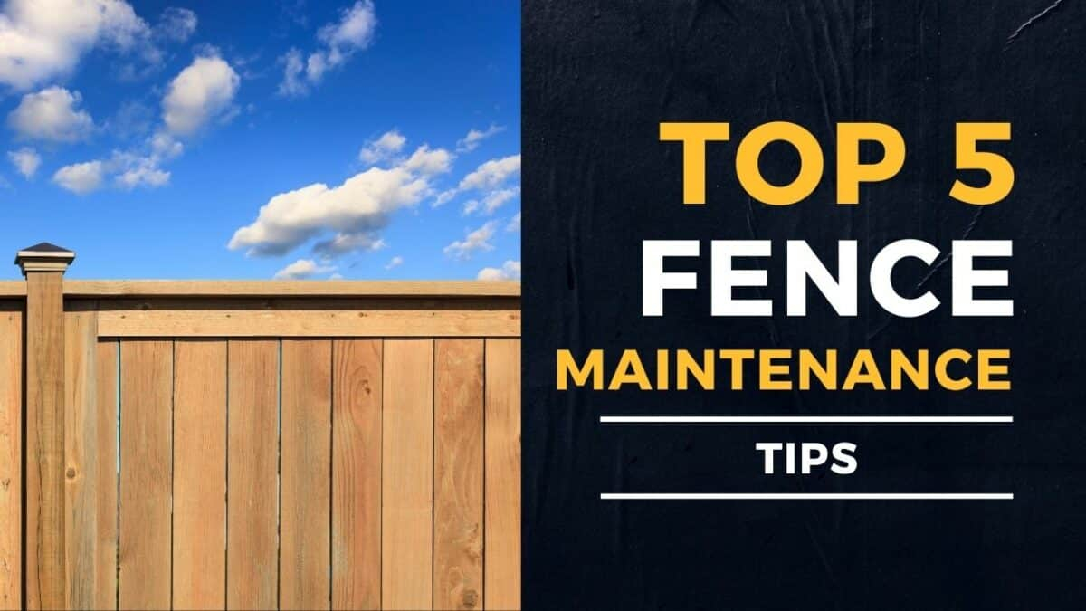 Fence Maintenance Tips At Patrick Oala-Rarua Blog with Horizontal Fence Modern