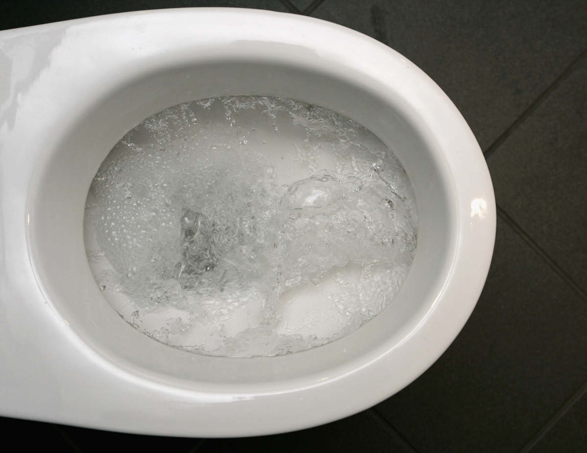 Flushing Toilets With Rainwater Reduces Household Water Demand By 25% ... inside Rainwater Toilet Flushing System