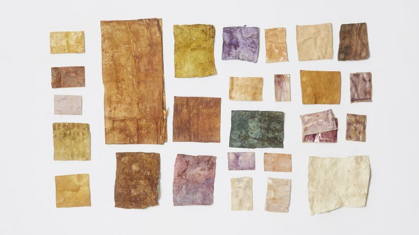 Food-Waste Dyes Bring Colour To Mycelium Leather In Sages And Osmose ... throughout Mushroom Leather Home Decor