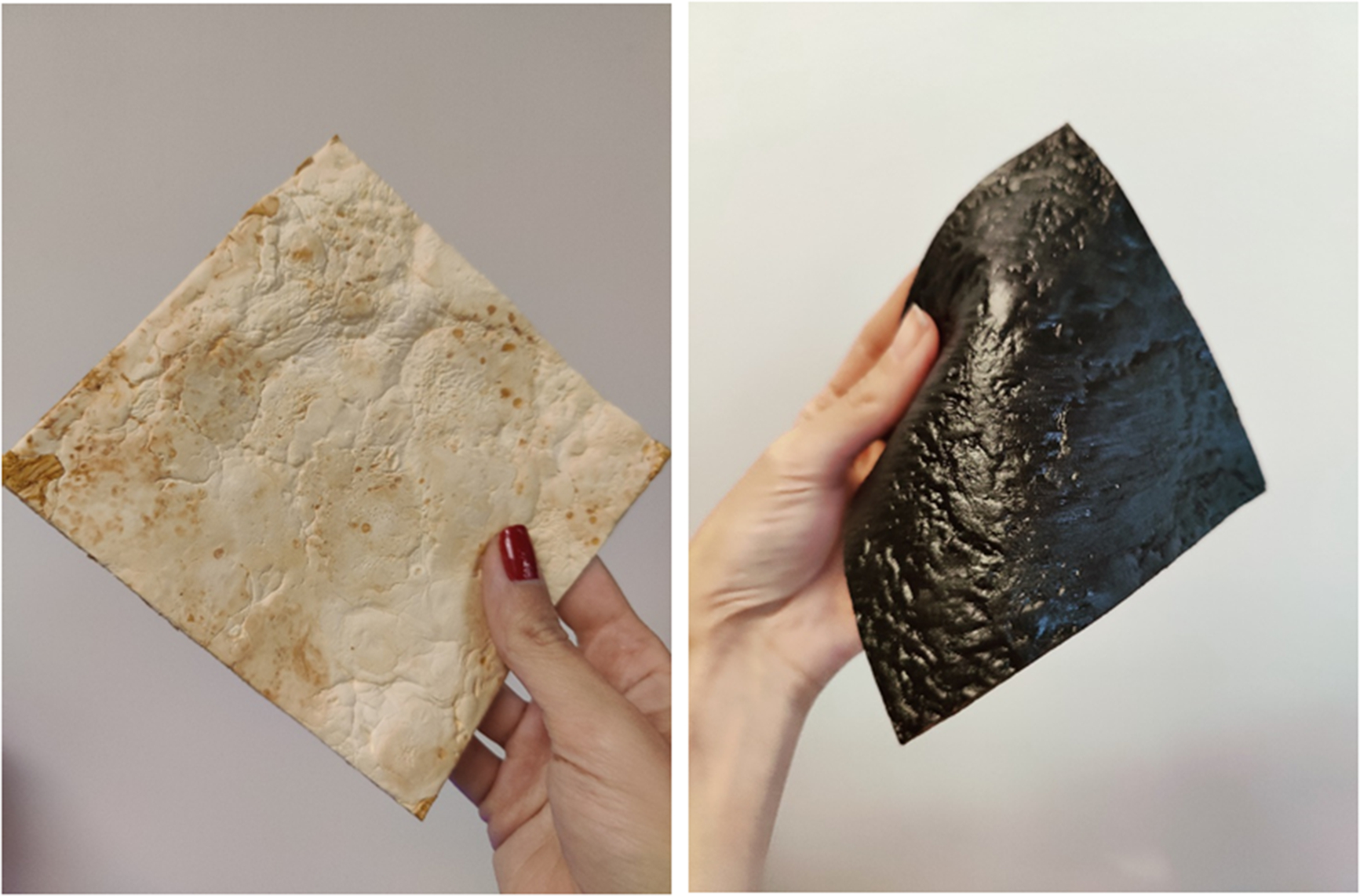 Growing Mycelium Leather: A Paste Substrate Approach With Post ... in Mushroom Leather Home Decor