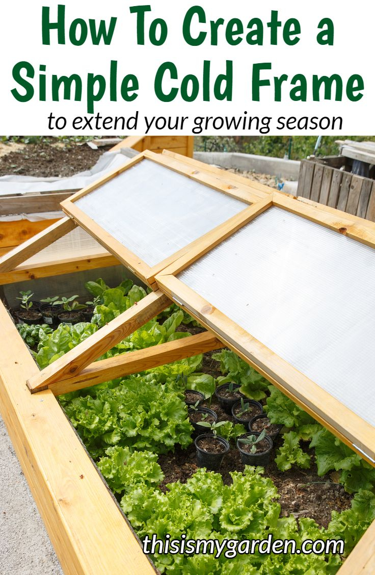 How to Extend Your Growing Season by Months Using a DIY Cold Frame