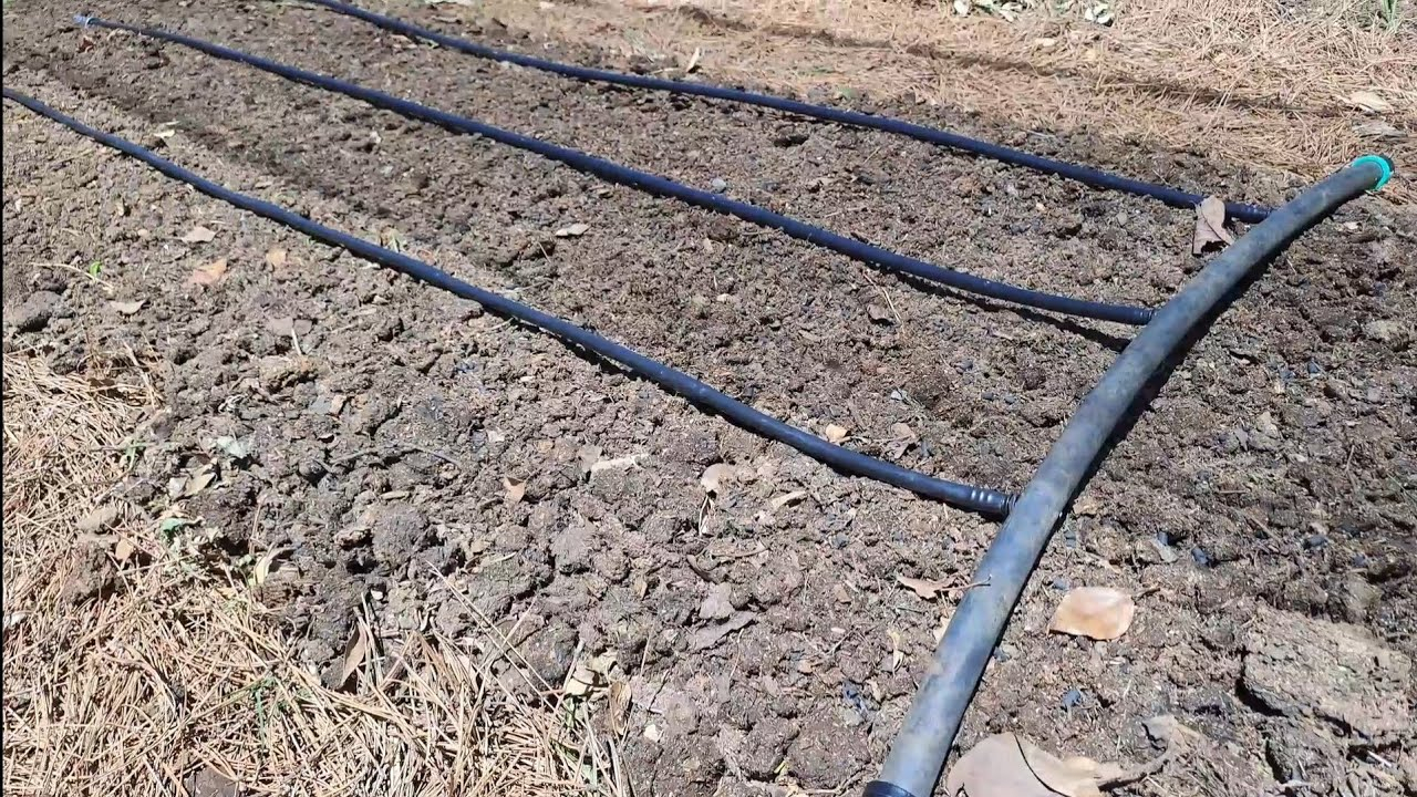 How to Install a Drip Irrigation System in One Weekend Without Breaking ...