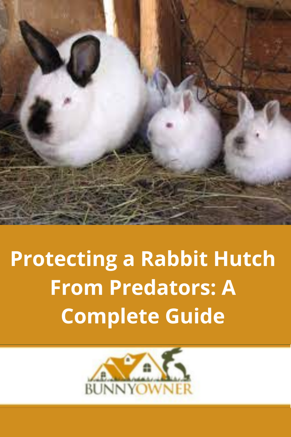 Predator Proof Build a Predator Proof Outdoor Rabbit Hutch That Actually Lasts