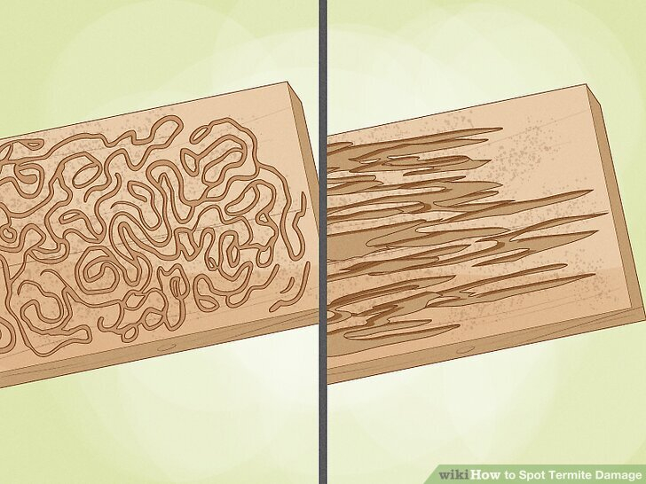 How To Spot Termite Damage: 13 Steps (With Pictures) - Wikihow for Termite Inspection Wood Destroying