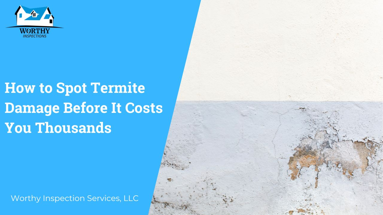 How To Spot Termite Damage Before It Costs You Thousands with regard to How to Spot Termite Damage Before It Destroys Your Foundation