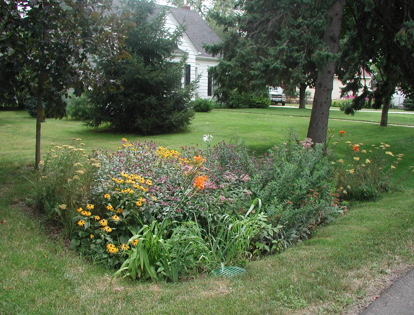 Landscapedesign: Landscape Design With Native Plants for From mud to habitat by using native vegetation to control yard drainage