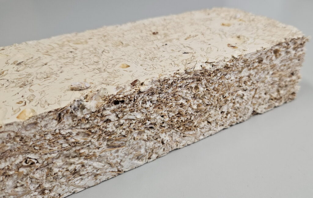Mycelium Can Help Us Avoid Packaging Waste - Renewable Carbon News pertaining to Why mycelium composite insulation is finally moving from the lab to the mainstream