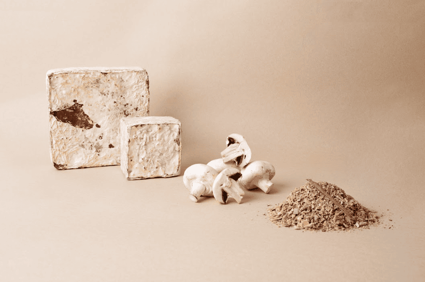 Mycelium Insulation | Ukgbc intended for Why mycelium composite insulation is finally moving from the lab to the mainstream