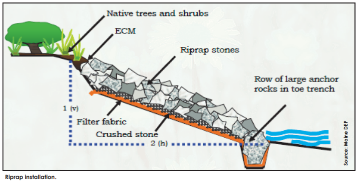 Native Seed Group | River Rock Landscaping, Rock Drainage, Backyard ... regarding From mud to habitat by using native vegetation to control yard drainage