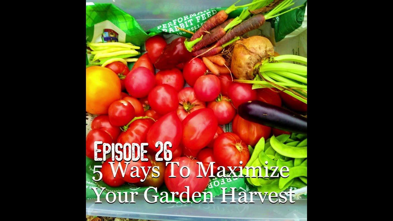 S1E26 5 Ways To Maximize Your Garden Harvest - Youtube with regard to Maximize Your Harvest with These Proven Watering and Sunlight Secrets for Pot Gardens