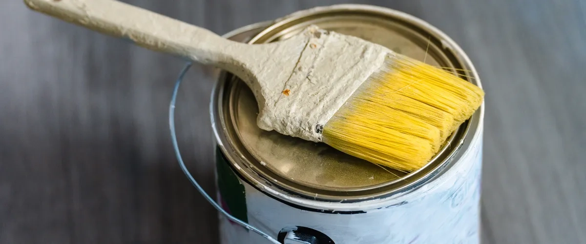 The 15 Best Paint Brands Of 2026 in Beyond the Label a Honest Comparison of the Top Health Conscious Paint Brands in 2026