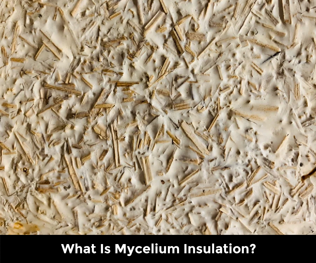 What Is Mycelium Insulation? inside Mycelium Composite Insulation