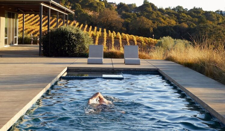 What’s The Smallest Size For A Lap Pool - The Frisky with Real World Examples of Stunning Lap Pools Designed for the Smallest Lots