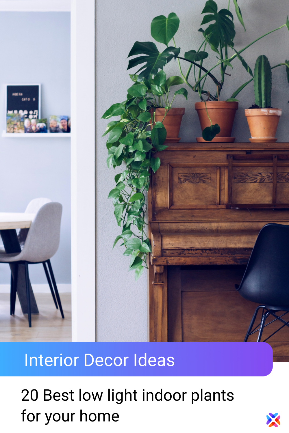 20 Best Low Light Indoor Plants For Your Home – Artofit with How to Style Your Living Space with Indoor Plants That Actually Survive Low Light