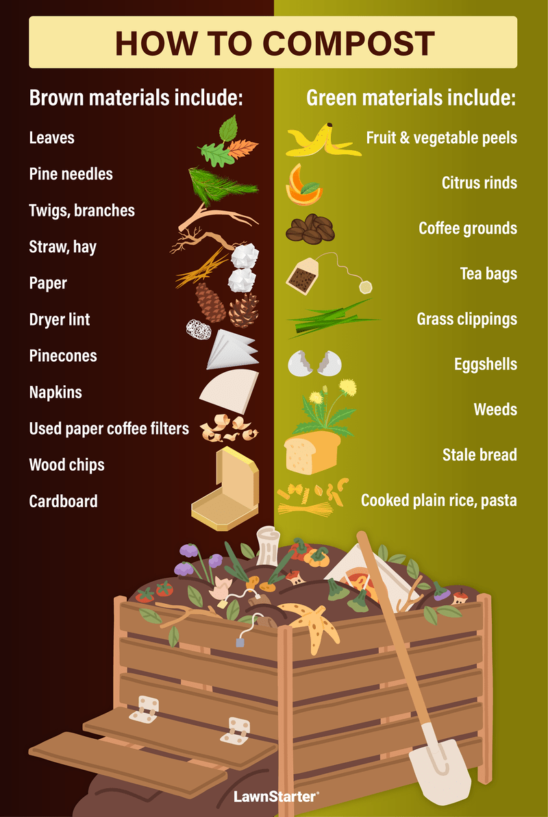 How to Start Your First Odor-Free Compost Pile from Kitchen Scraps