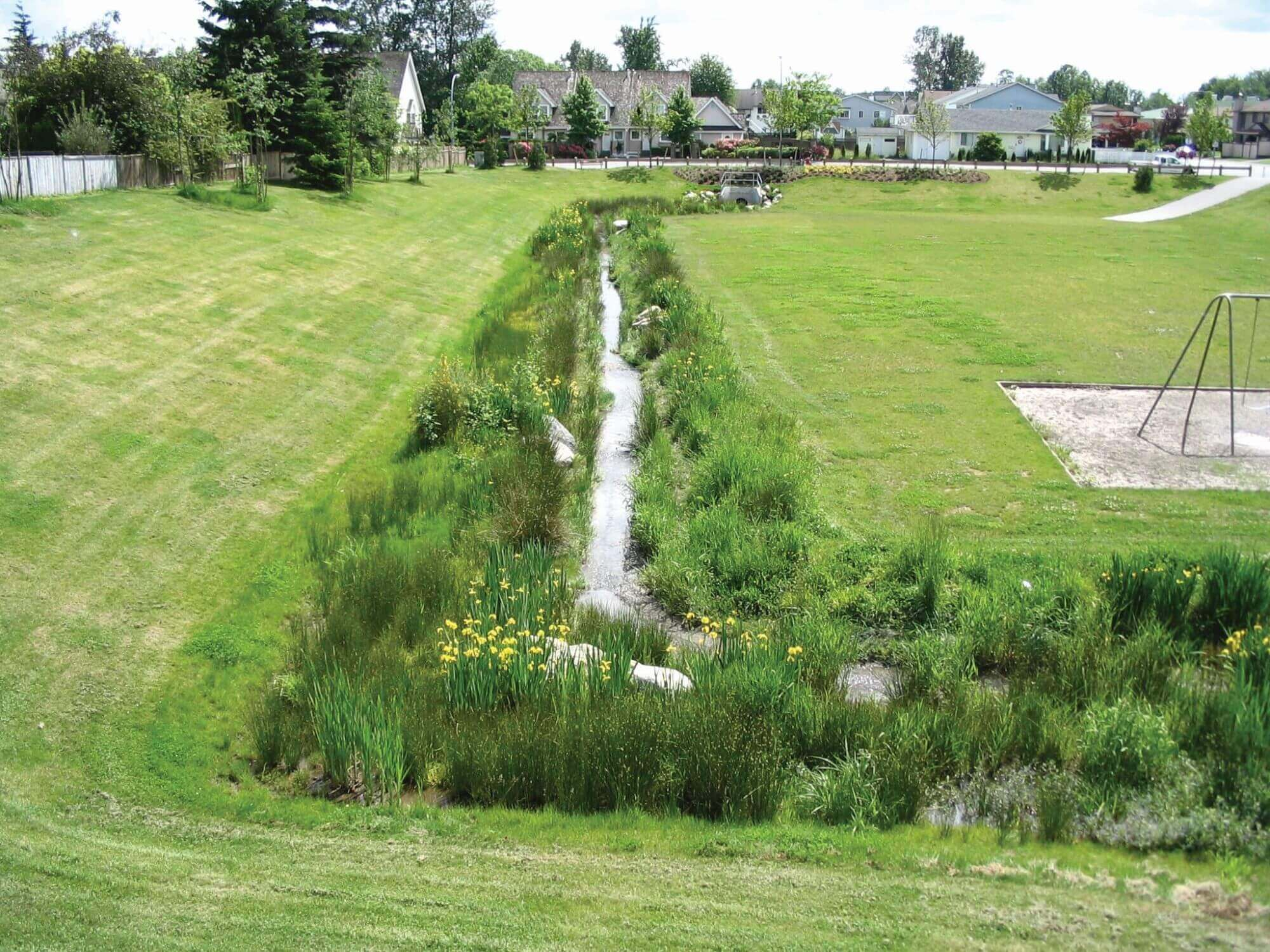 Bioswales | Bioswale Design And Installation | Innovative Bioswales ... inside Designing bioswales that actually work during historic downpours