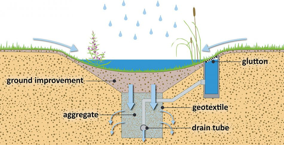 Bioswales | Urban Green-Blue Grids in Designing bioswales that actually work during historic downpours