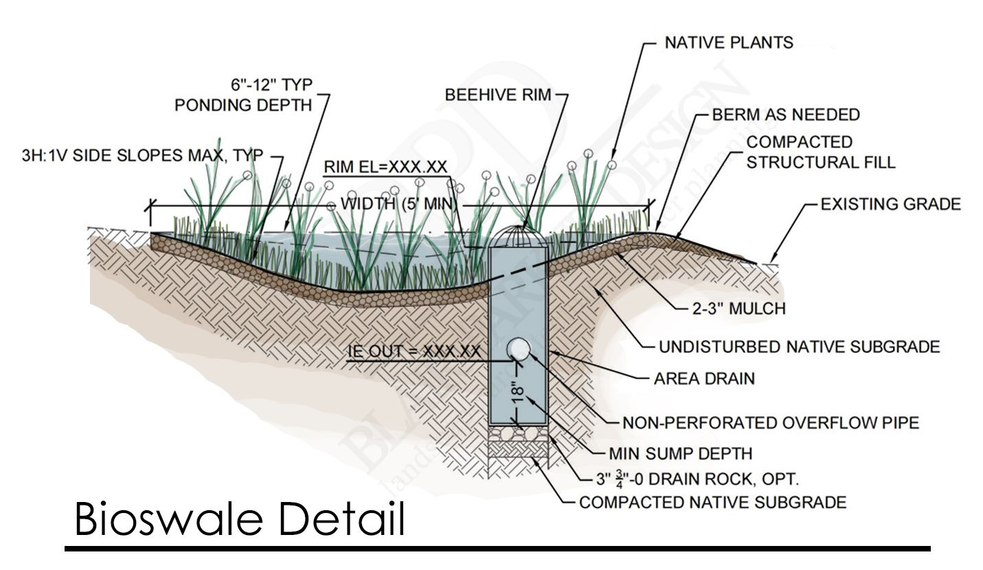 Diagram Of Bioswales For Sustainable Architecture | Bioswale Plan ... intended for Bioswale Drainage Design