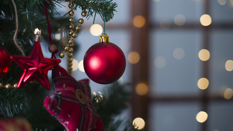 How To Keep Your Pets Safe Around The Christmas Tree throughout Holiday Decoration Storage