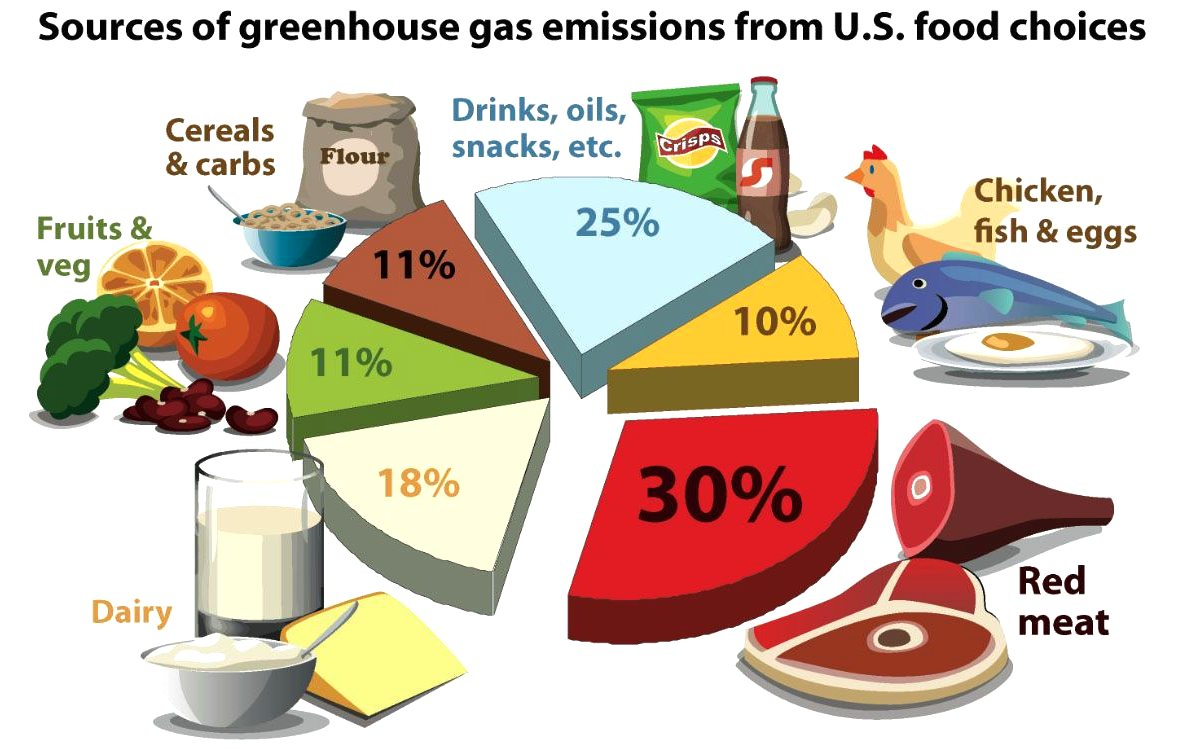 How To Reduce Food Ecological Footprint At Stephanie Wolfe Blog in Off Grid Cabin Design Self Sufficient