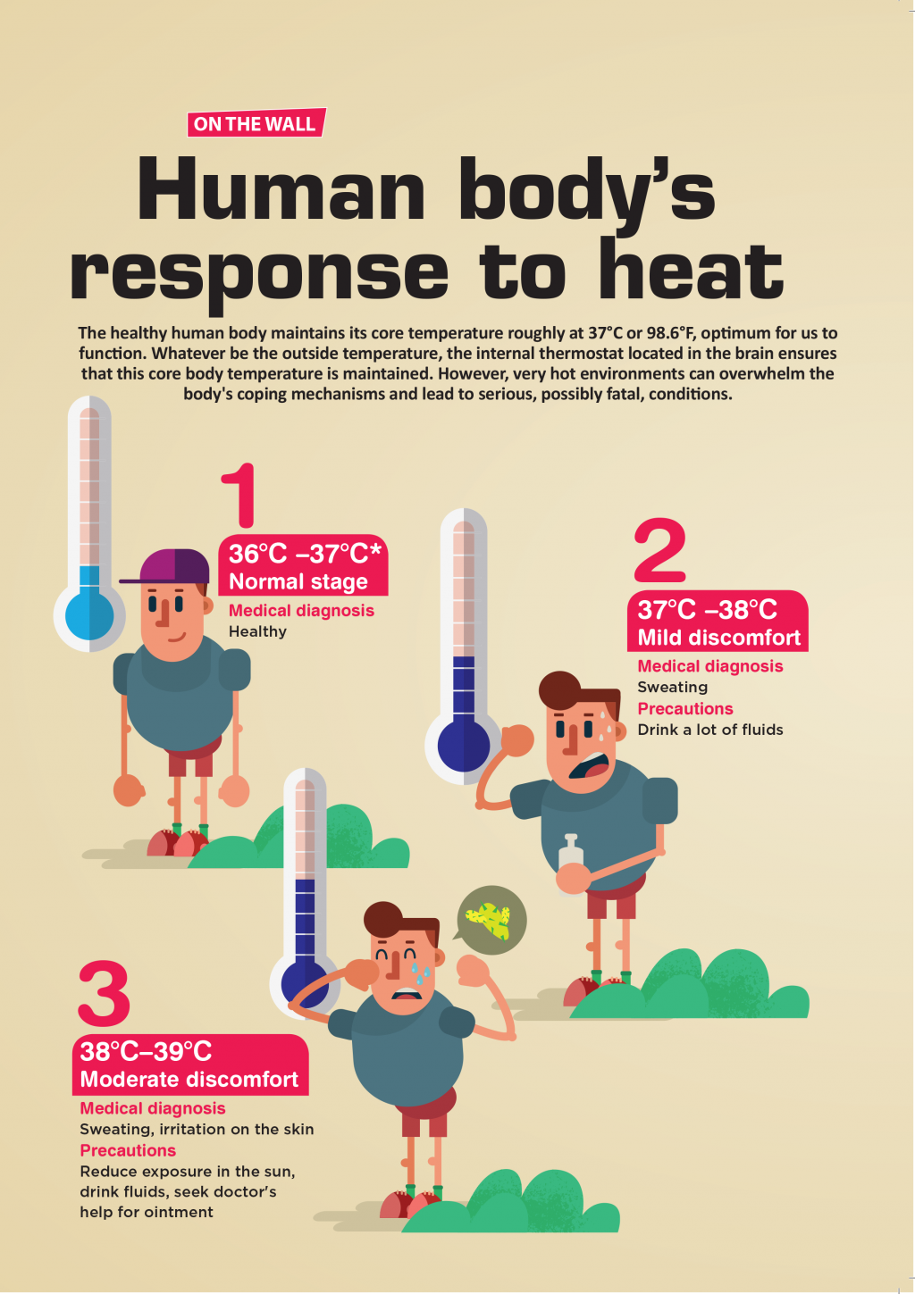 Human Body’s Response To Heat with regard to Natural Latex Mattress Organic