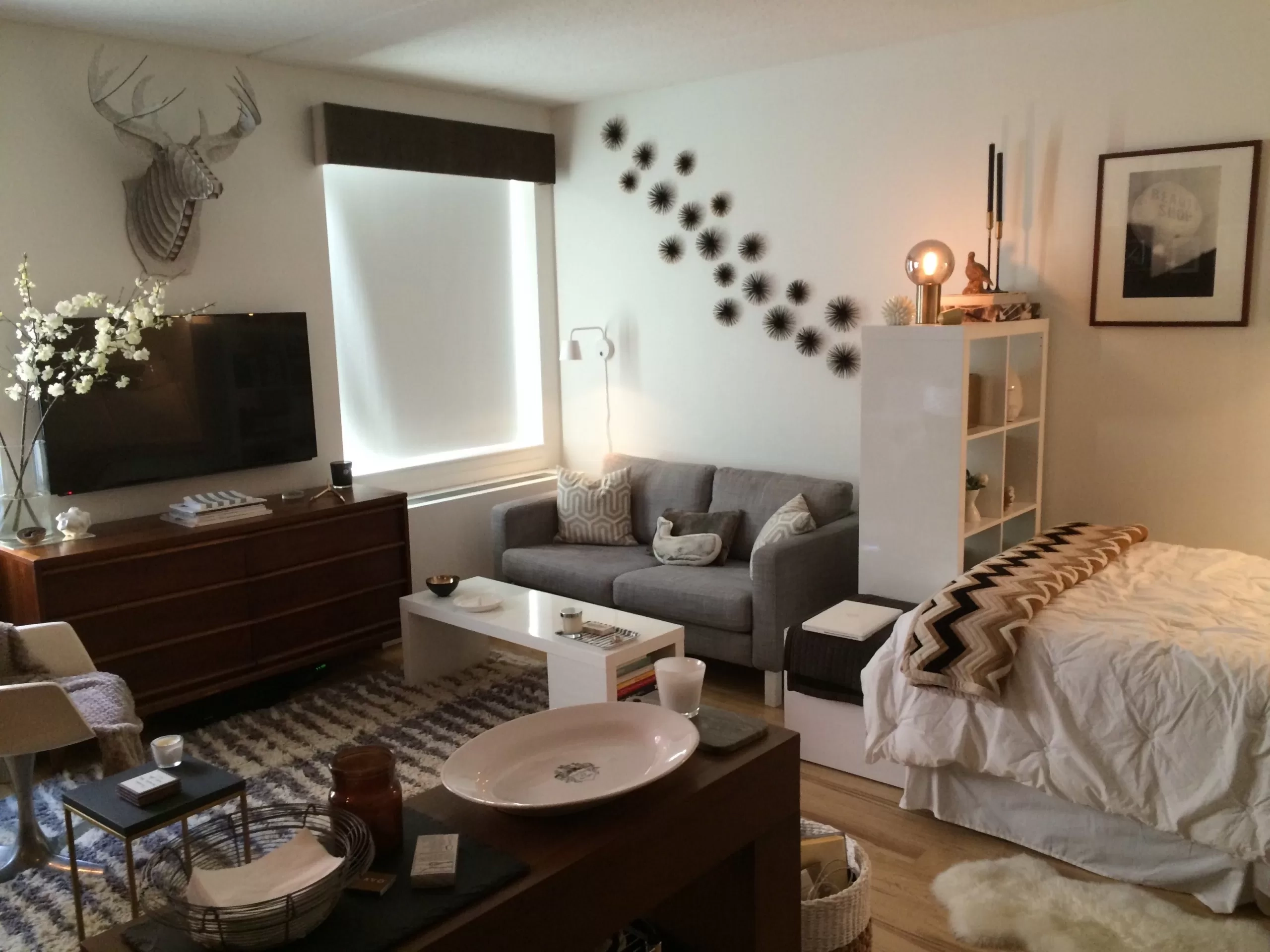 Maximize Your Space: Best Furniture Layout For Studio Apartments ... for The honest truth about living in a studio apartment with multifunctional furniture
