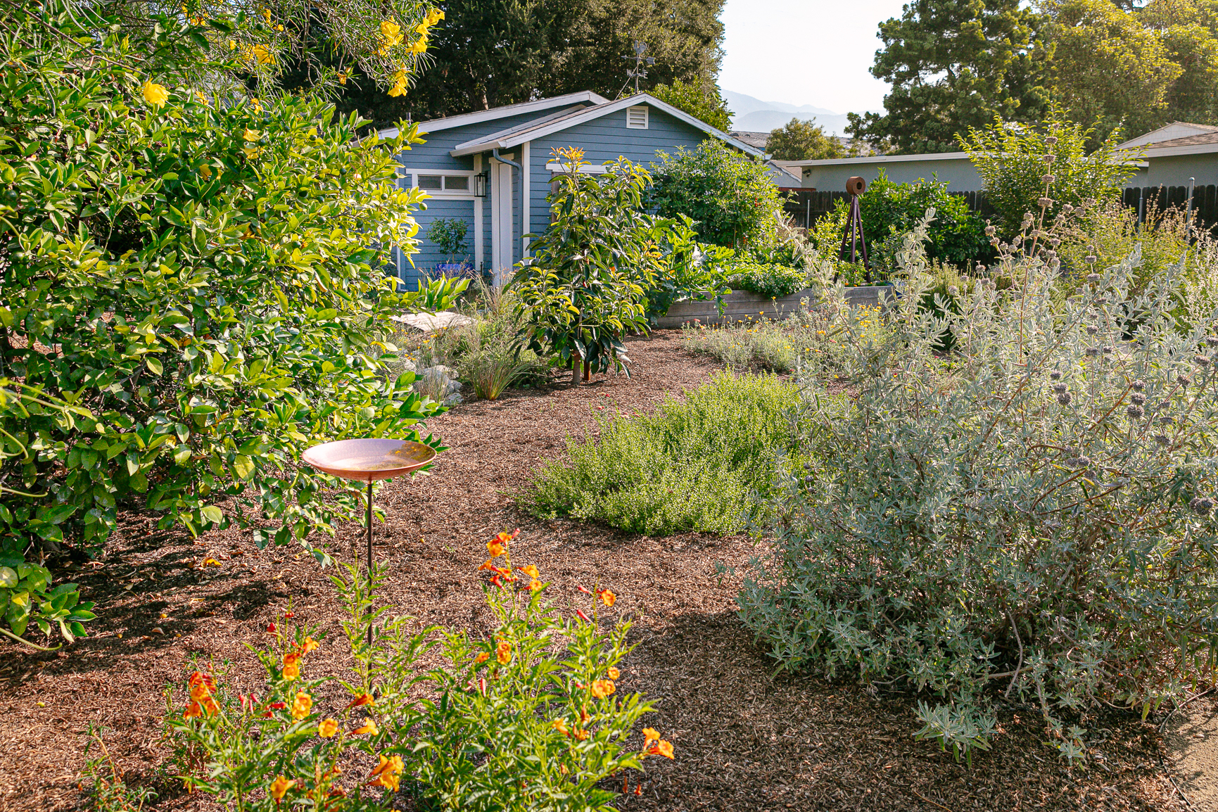 Native Gardening: Transform Your Lawn Today pertaining to Outdoor Garden Design Ideas