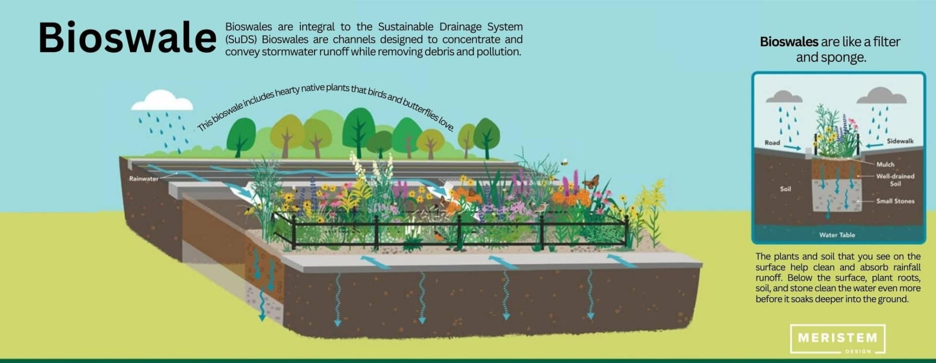 Rain Gardens & Bioswales For Suds regarding Bioswale Drainage Design