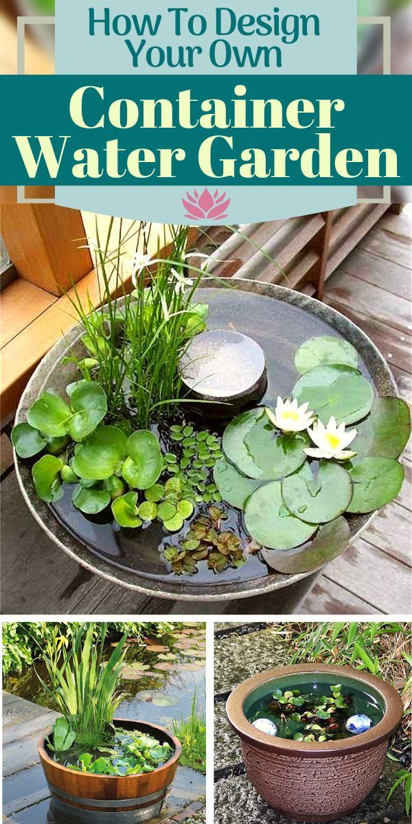 Stunning Water Features You Can Make In A Day - Container Water Gardens ... with How Quiet Water Gardens Can Help Reduce Daily Stress