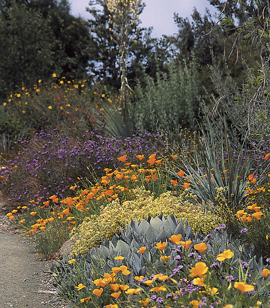 The Benefits Of Native Plants – Each Green Corner regarding Outdoor Garden Design Ideas